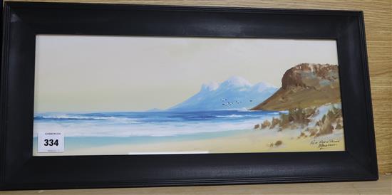 H. Anderson, gouache, Fish Hoek Point, signed, 20 x 52cm